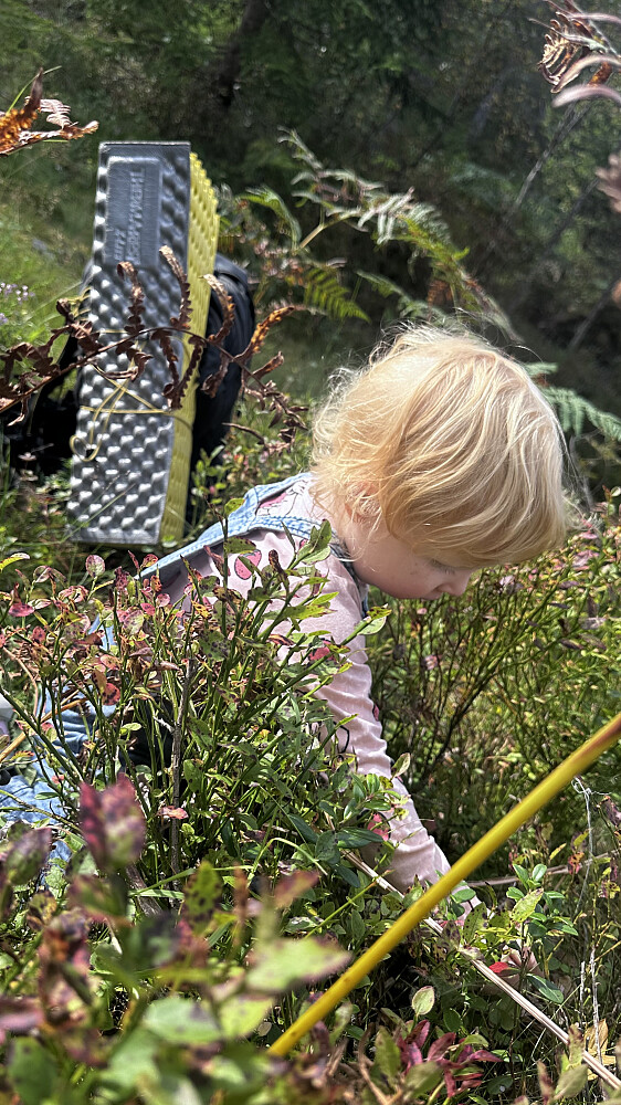 Tid til å nyte ❤️