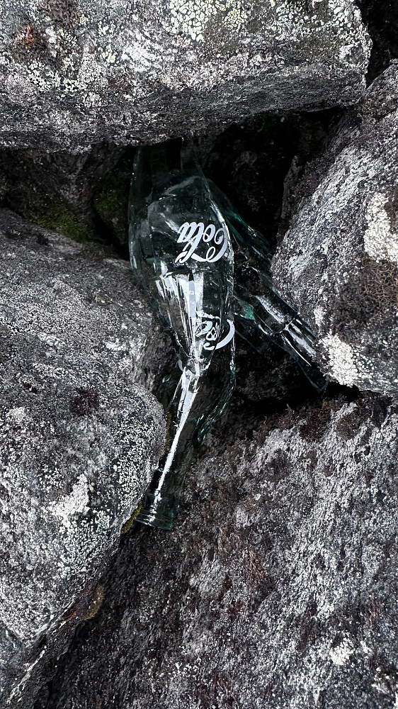 Ville tru at børa hadde vore lettare heim!