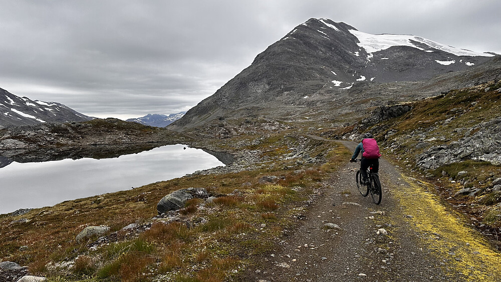 Greit å sykle innover vegen for eiga maskin 