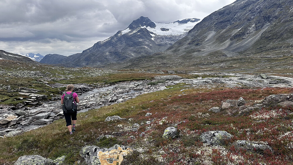 Nydelig å trakke ut dalen etter ur trakk!