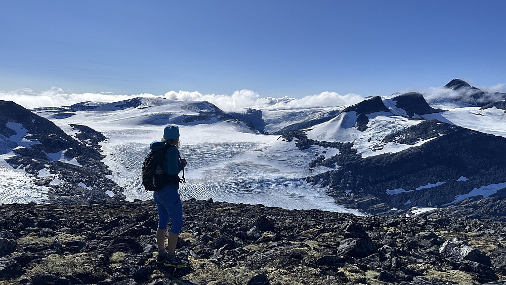 Ifrå Fremstekåpa mot Erdalsbreen, Tverrfjellet og Lodalskåpa