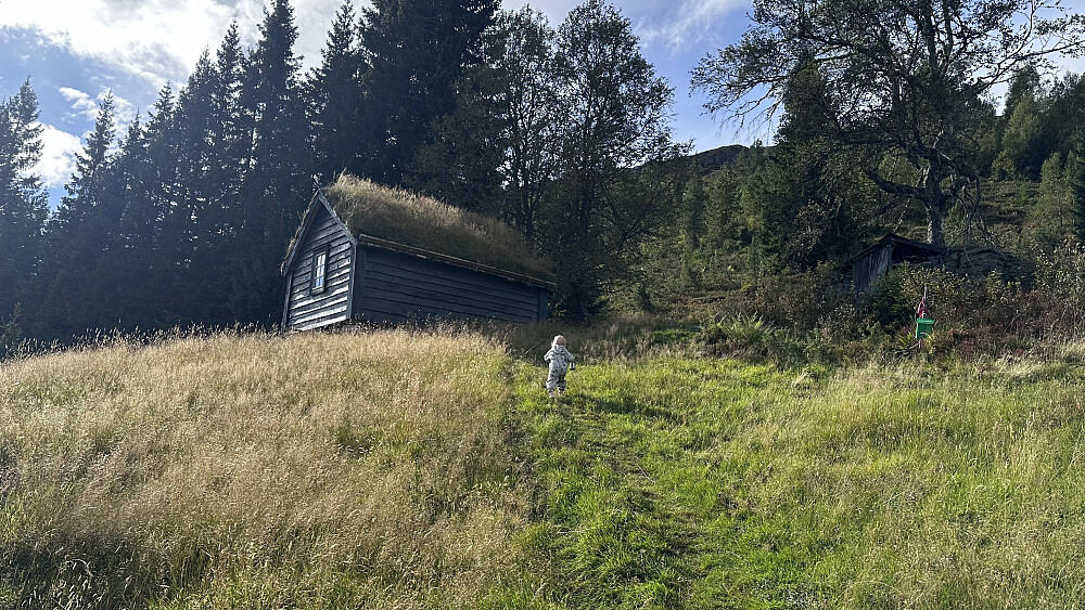 Stas å komme seg opp på støylen 