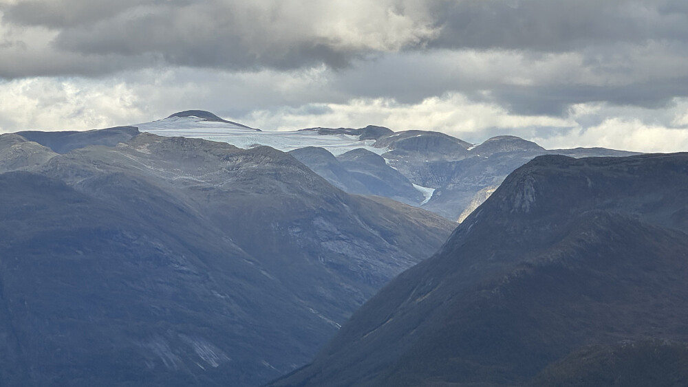 Snønipa