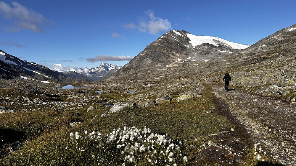 Fint inn Gravdalen