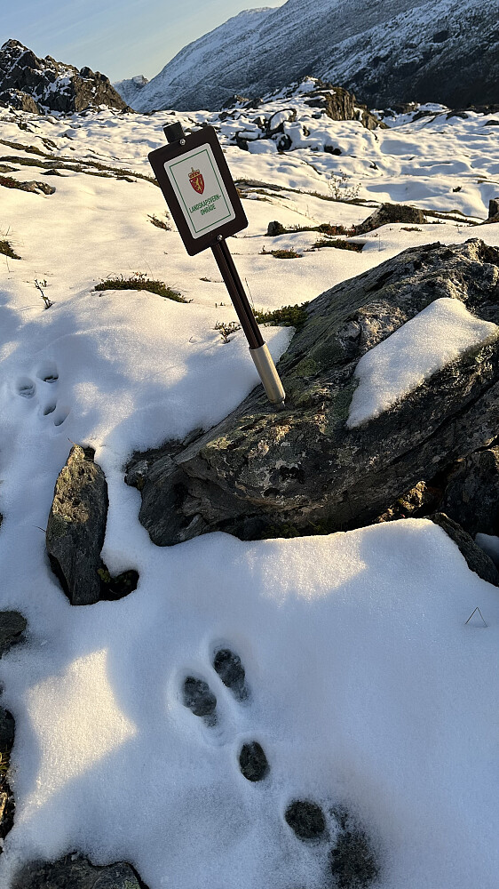 Desse kontrastane er DEFINITIVT høgvakre!❤️