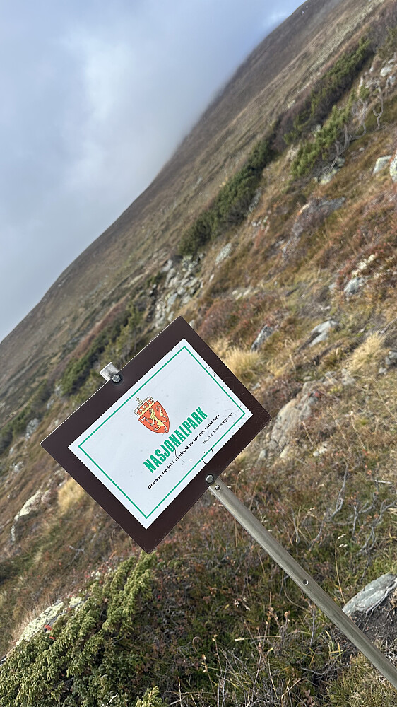 Og som alltid! Blir eg ekstra veldig glad og kjenner stor glede i sjela. Når eg ser dette skiltet ❤️