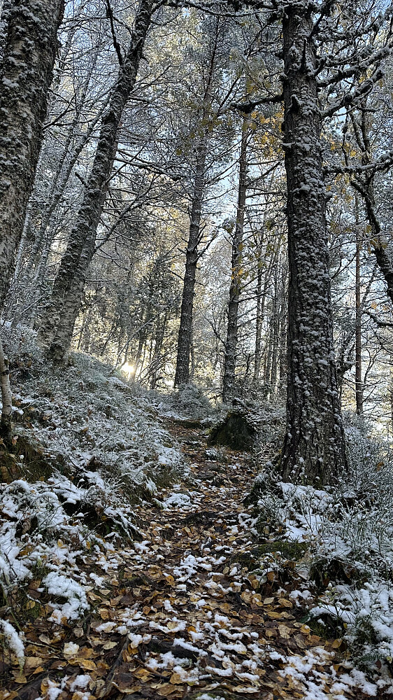 Kong vinter på besøk! 