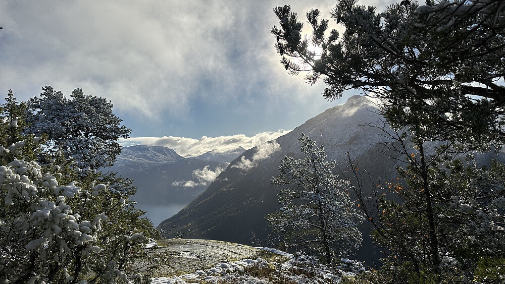Flott syn mot Ryssdalshornet 1201 moh 
