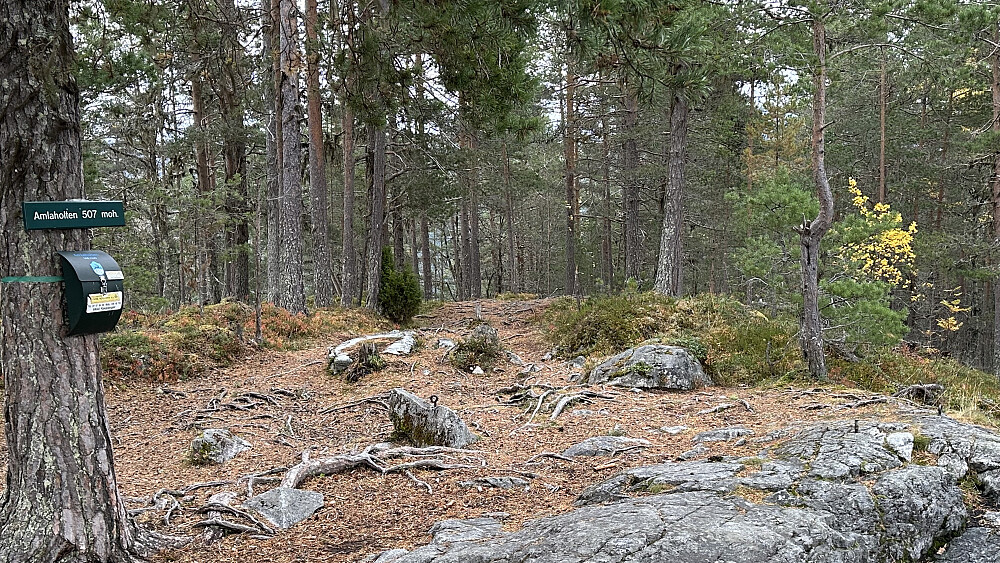 Fint på toppen av Amlaholten