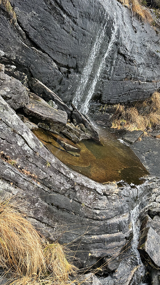 Fine oaser ved stien ifrå garden!