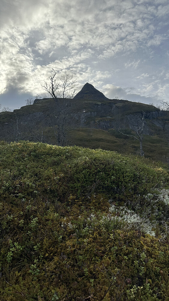 Prøvd å unngå å få med veiskjerdingen mot toppen. Huske tilbake fjellet som det ein gong såg ut!