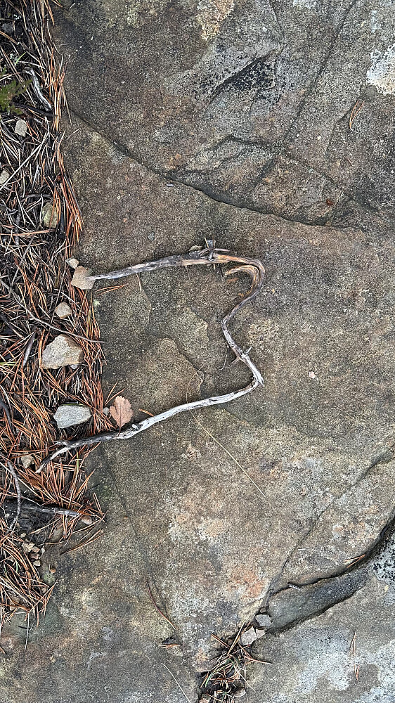 M for Miriam :) Tenker det var ei meining ❤️