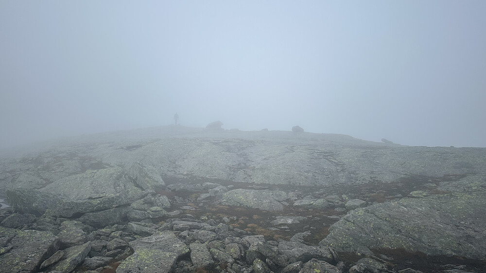 Ifrå toppen av Vest for Åsabotnen 1206 moh