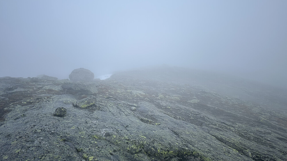 Ifrå toppen av Vest for Åsabotnen 1206 moh