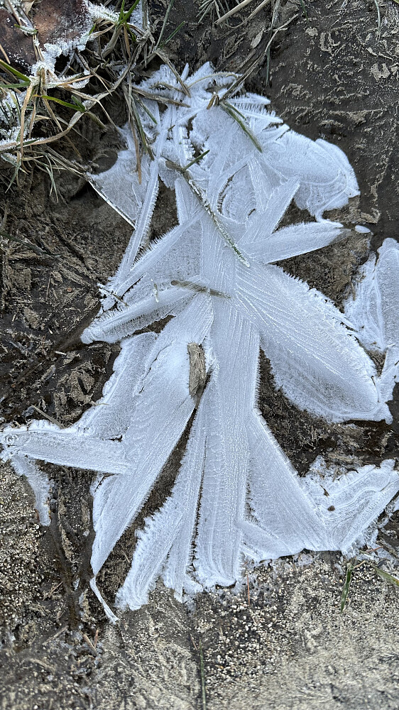 Tid til å studere is detaljer!
