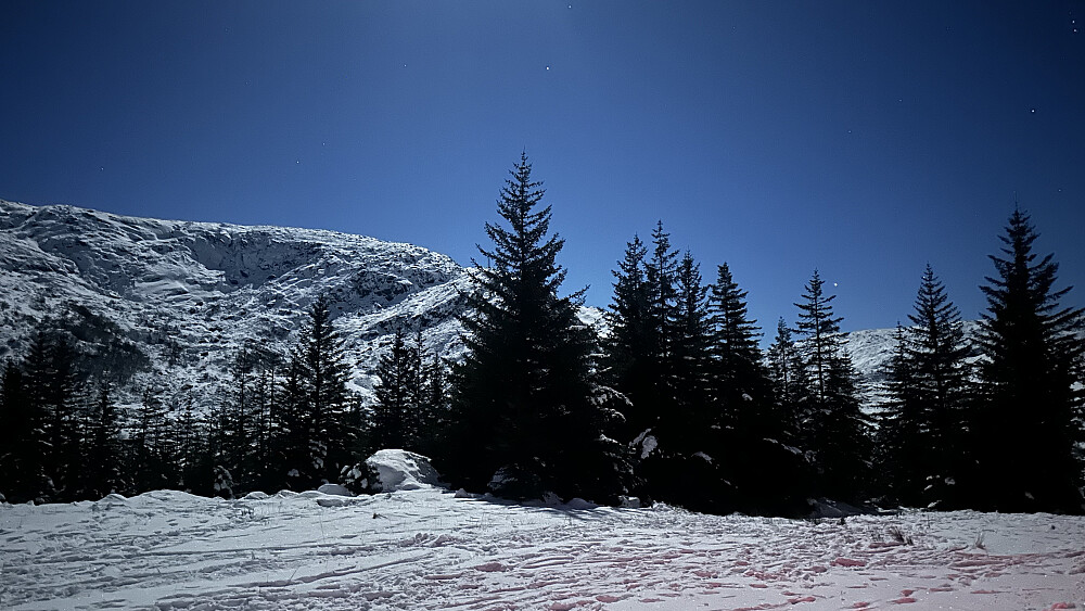 Heimturen var eit eventyr 