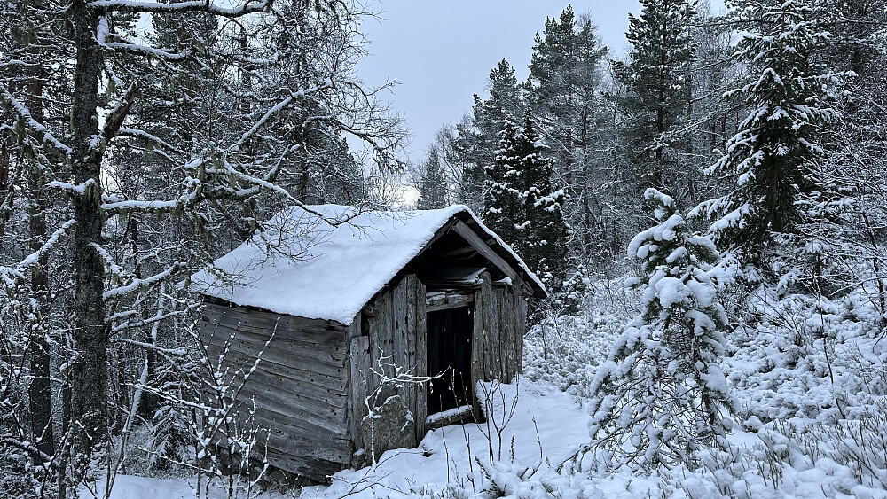 Den gamle løa under støylen er fascinerende