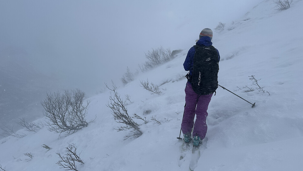 Over tregrensa på ca 800 moh var det mulig å spenne på skia!
