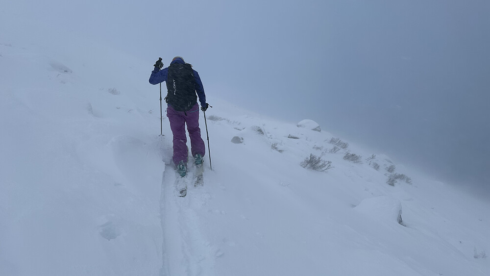 Meldt sterk kuling mot storm i kasta på Tortnegrøegga i dag!