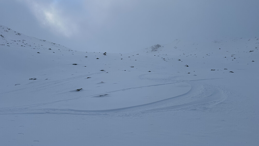 Litt snø å kose seg i på retur! 