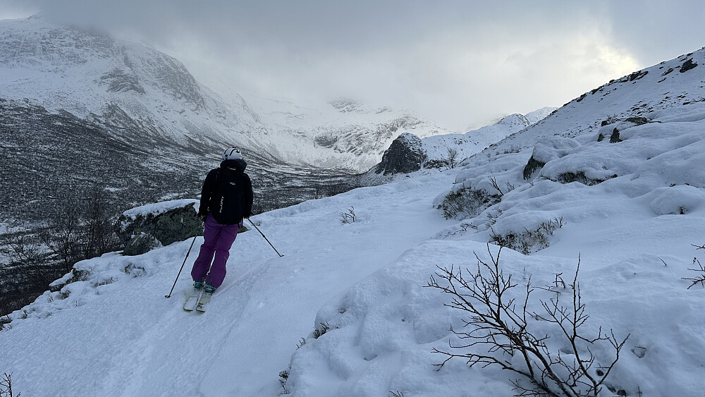Flott skue mot Bjørgaryggen
