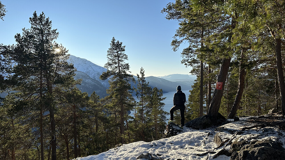 Miriam nyter skuet og sola ifrå toppen av Amlaholten