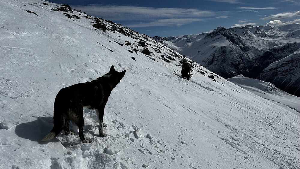 Fint på toppen av Kyrkjetaket 