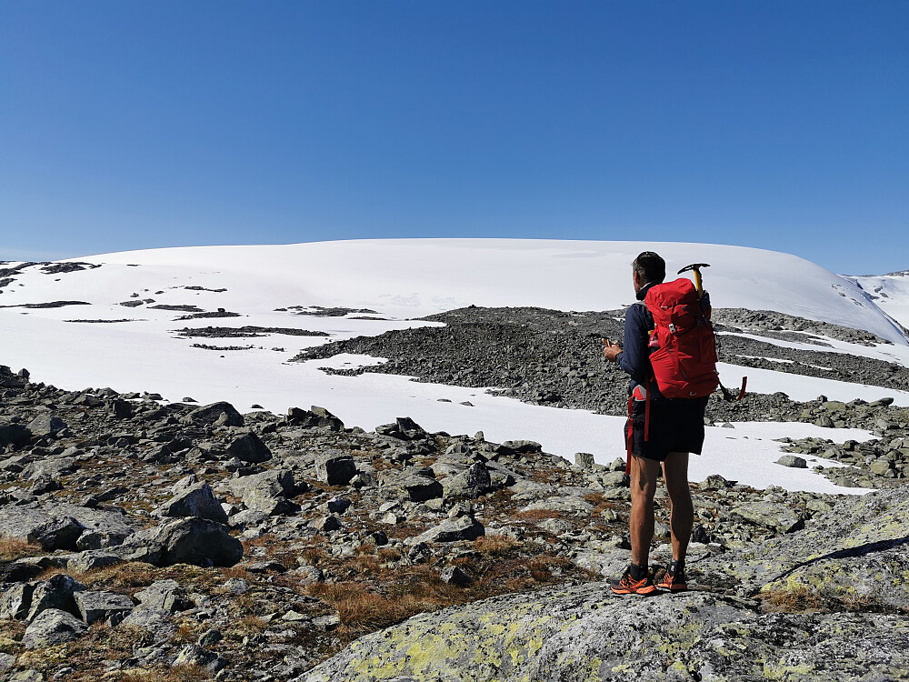 Skuet er Harbardsbreen! 