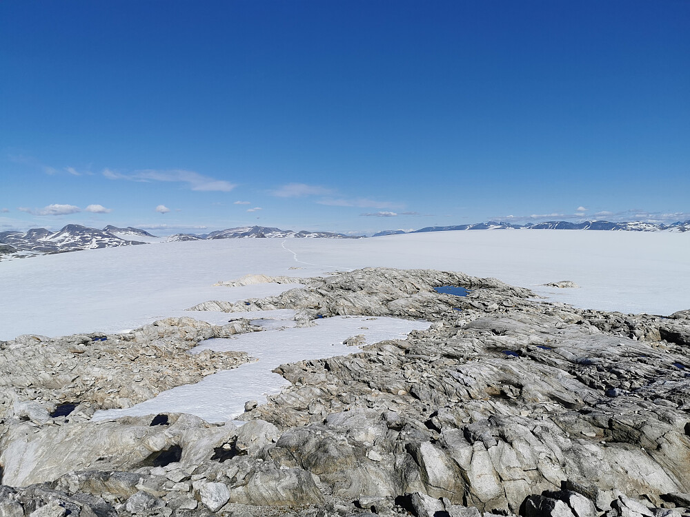 Ifrå fastfjell på Harbardsbreen mot høgaste brepunkt!