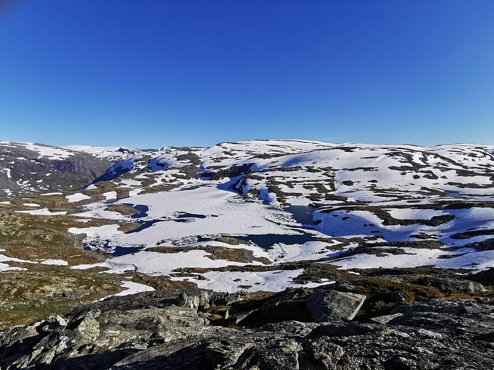 Så fint å sjå marmoreringane ifrå vinter mot sommer