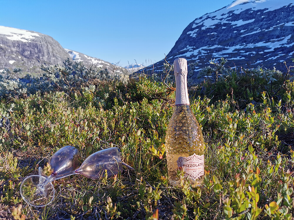 Harbardsbreen fekk ei lita markering!