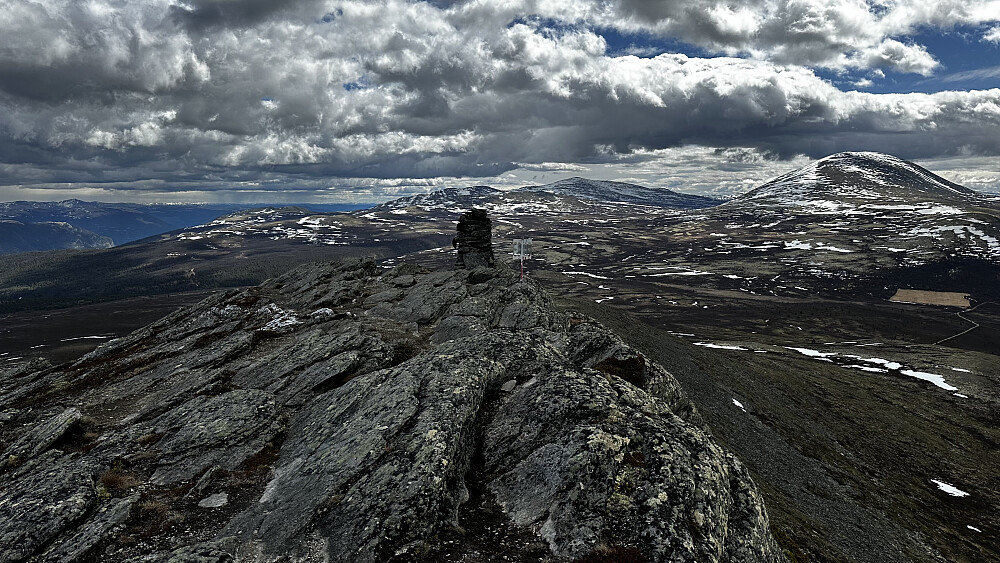 Ifrå Steinhø 1337