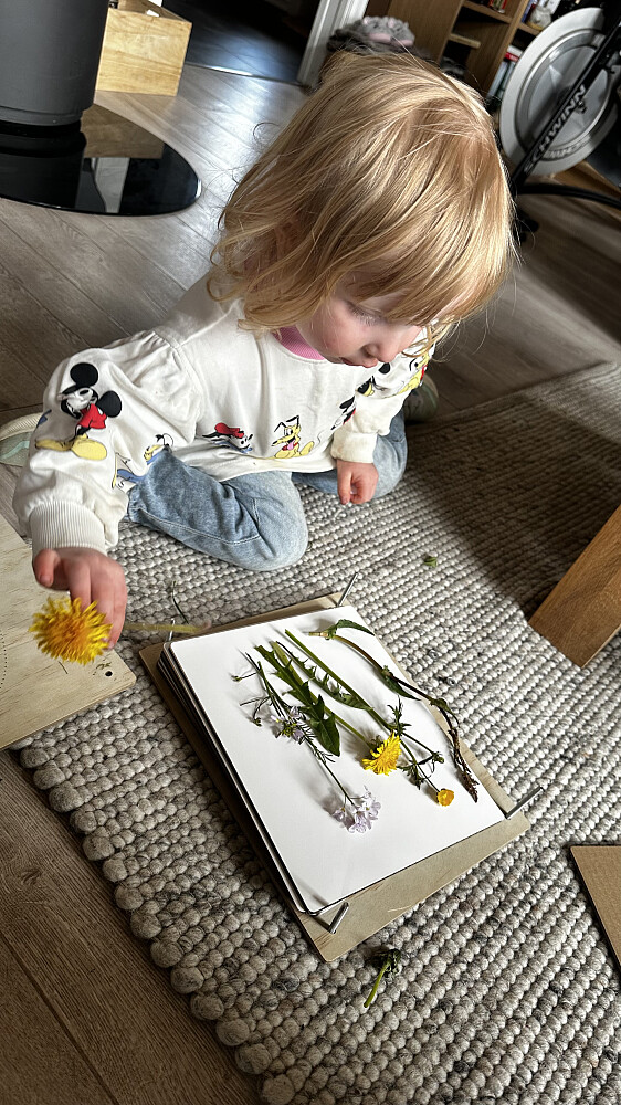 Stas at treåringen har interesse for blomster/flora og faunaen vår ❤️
