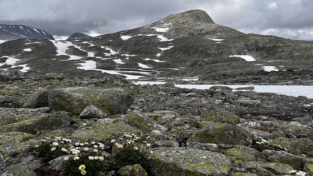 Første topp Krossbakkenosi 1574