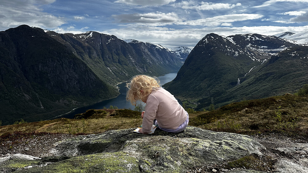 Fint å nyte ifrå Nova med Kjøsnesfjorden og mot Grovanipa