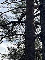 janlan_20260603_6a2022c290f8e.jpeg