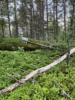 janlan_20260603_6a2022c69a12d.jpeg