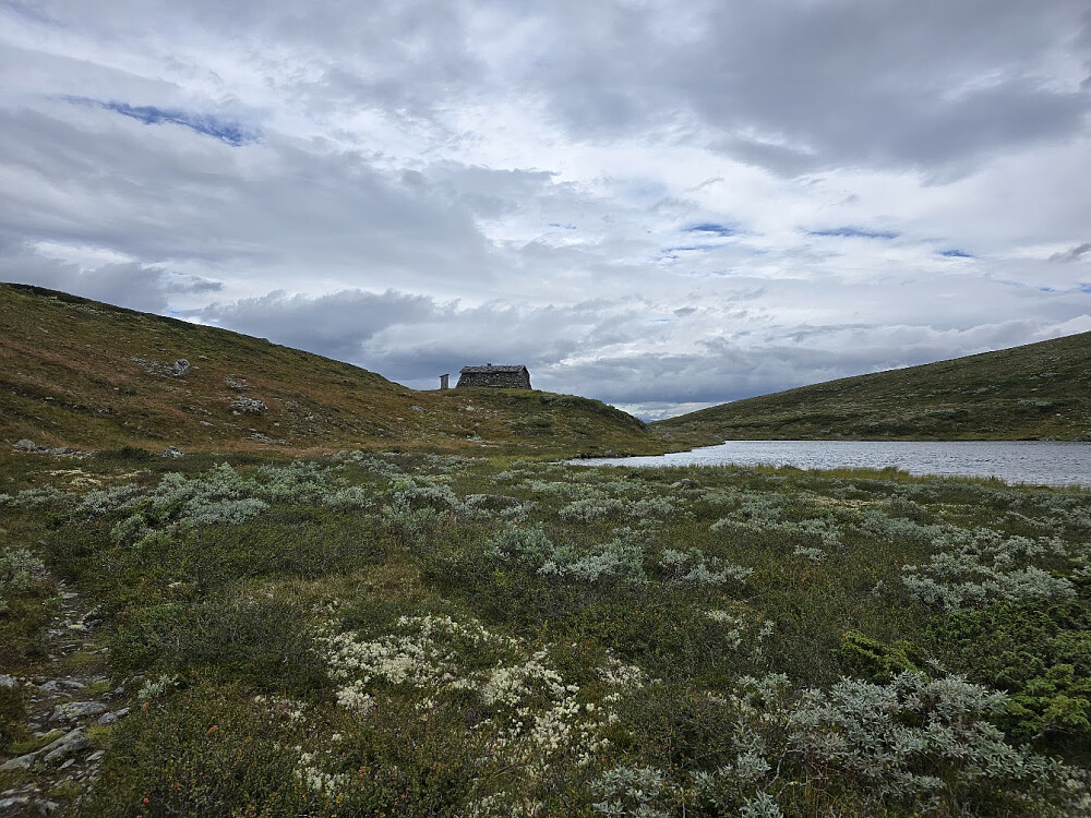 Vakre Ulsteinbu