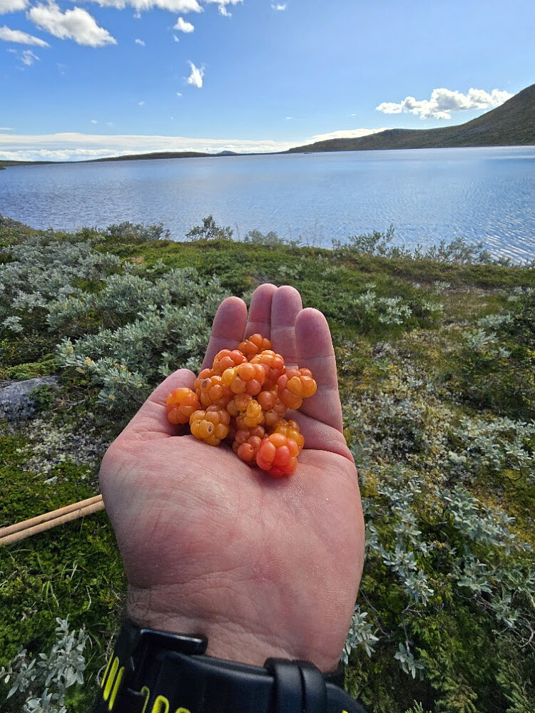 Noe fangst ble det da i dag...om enn ikke fisk!