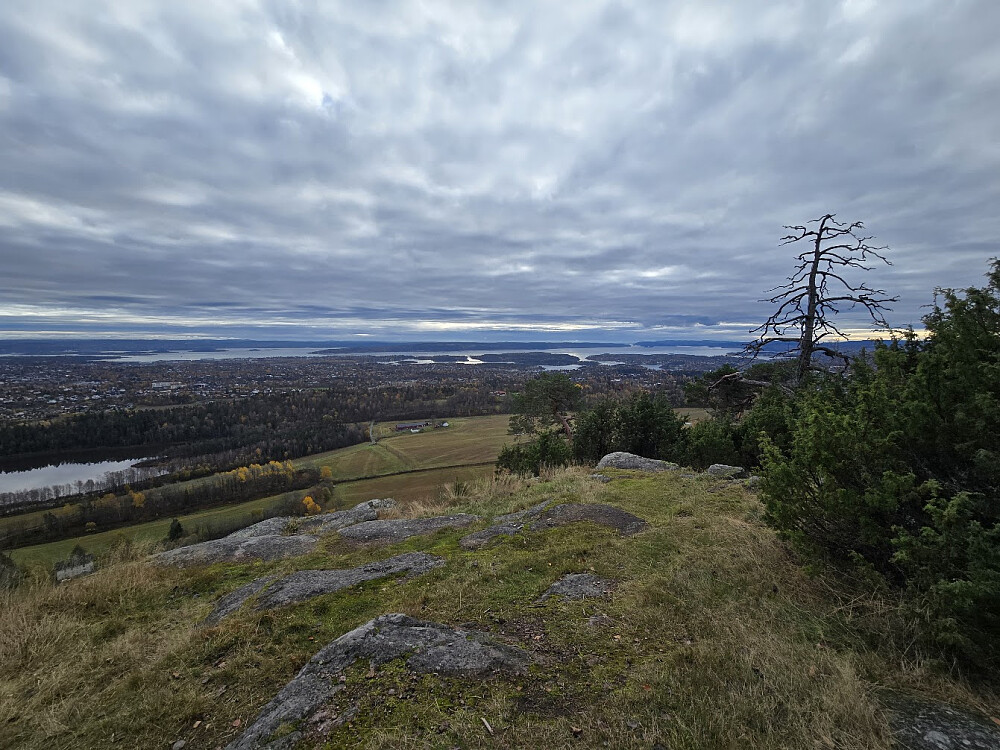 Gråmagan mot Drøbak