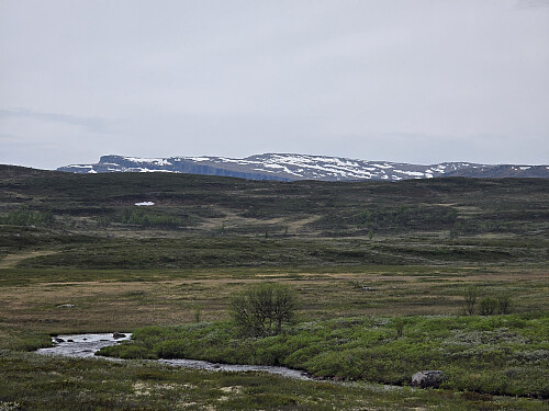 Langsua sett fra stien
