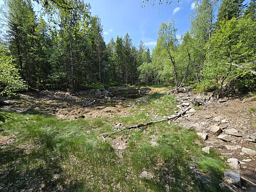 Tørr som min egen humor