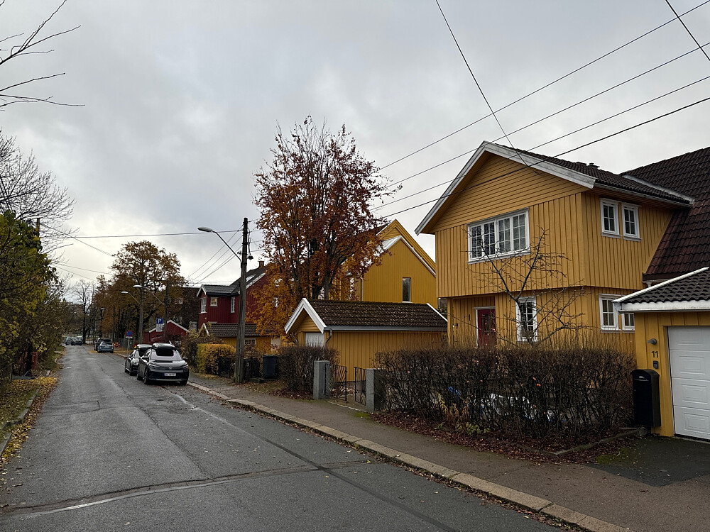 Dersom Ulven vil ha seigmenn får han leite her.