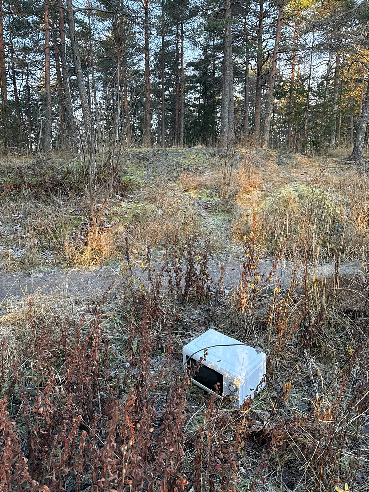 «Mista» ein mikro…