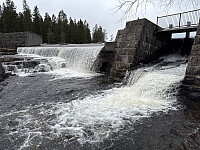 Garm_20260425_69ecc0af214b0.jpg
