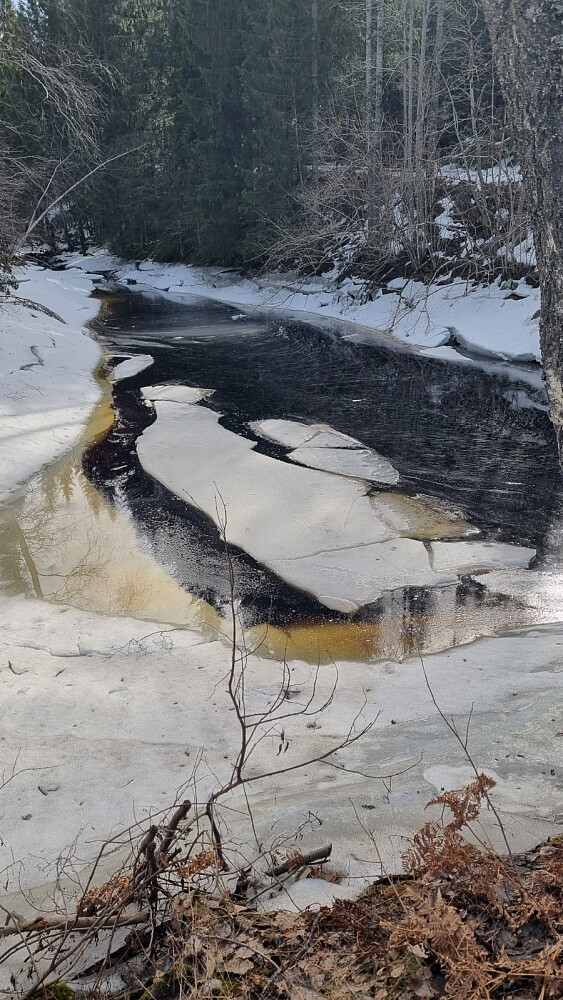 Naturen lager fine ting