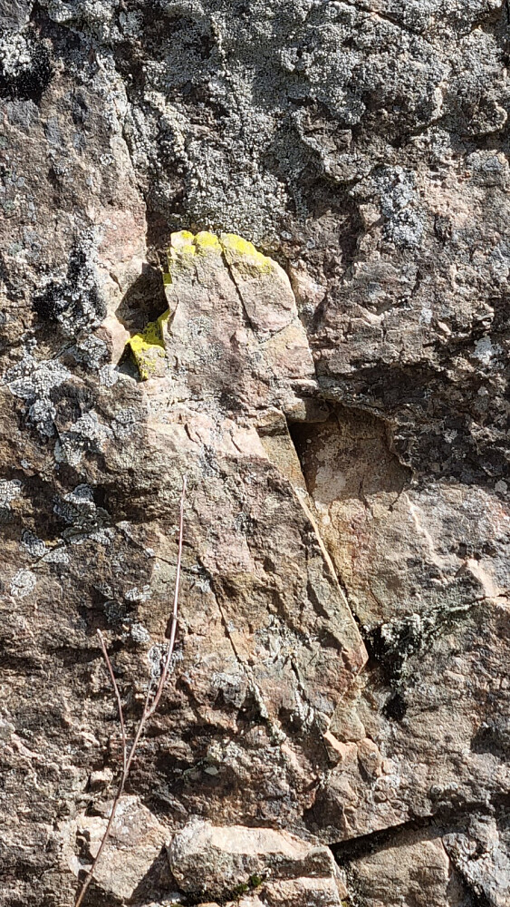 Ser nesten ut som naturen har pyntet seg med neglelakk på "hånden" 