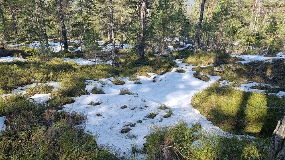 Litt snøflekker her og der