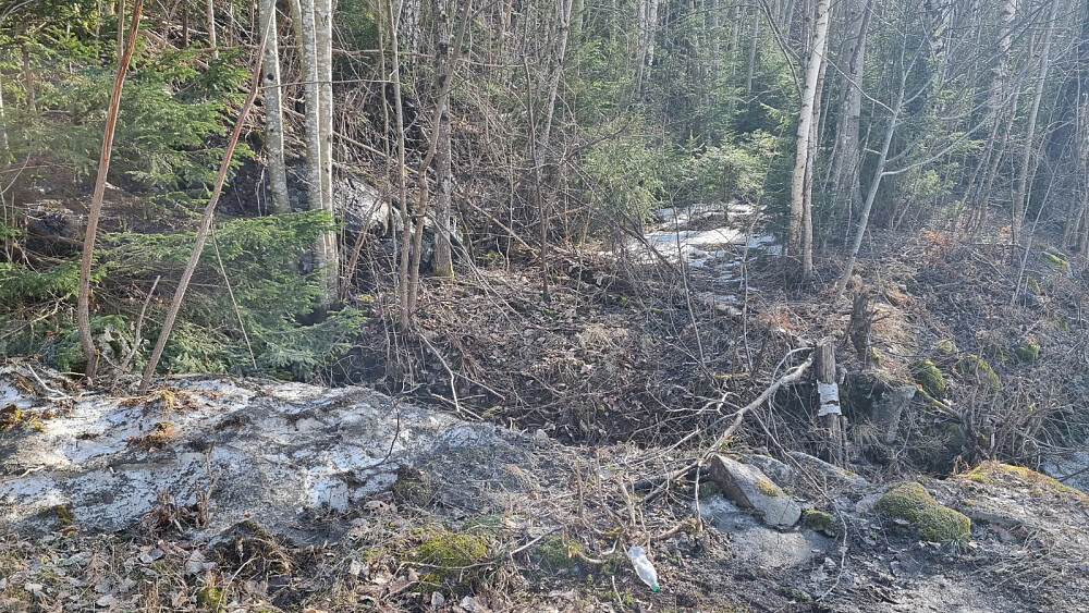 Her starter traktorveien vi fulgte ned