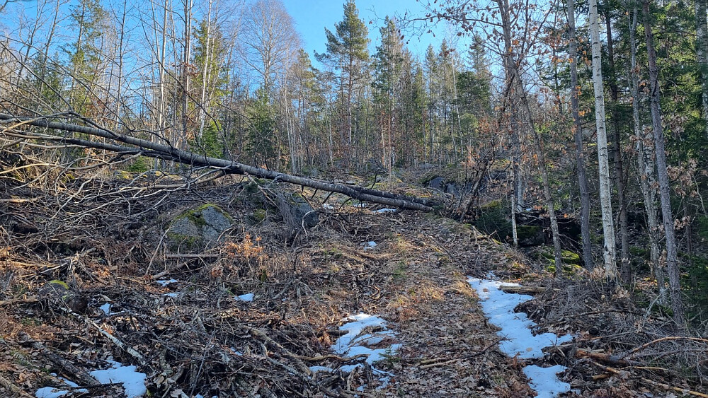 Traktorveien oppover